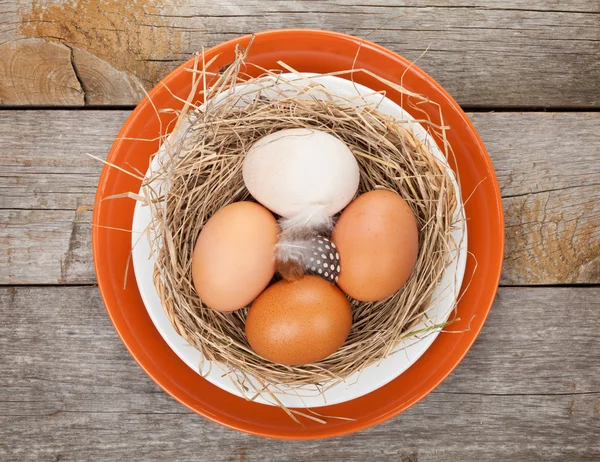 Nest eieren — Stockfoto
