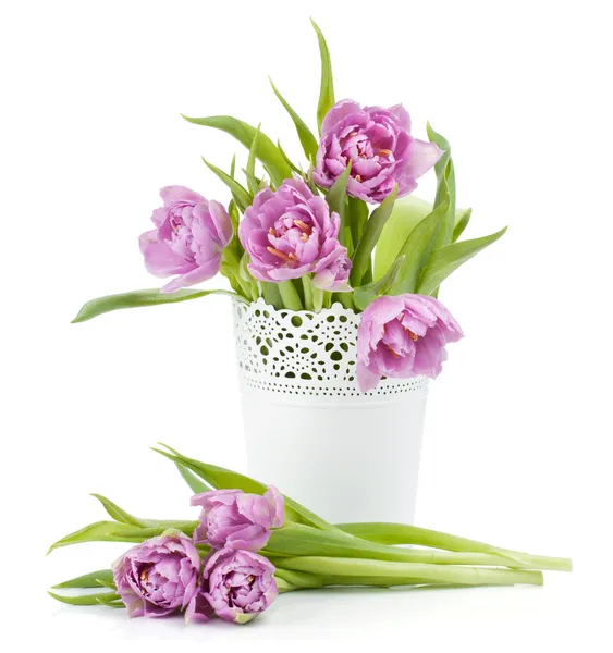 Розовые тюльпаны в горшочке — стоковое фото