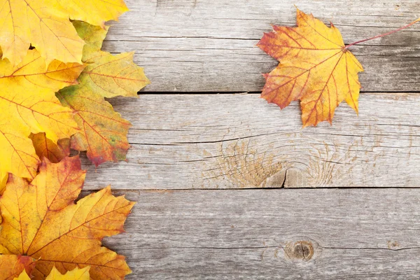 Hojas de arce de otoño — Foto de Stock