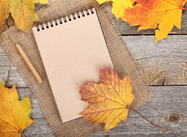 Notepad and  autumn maple leaves — Stock Photo, Image