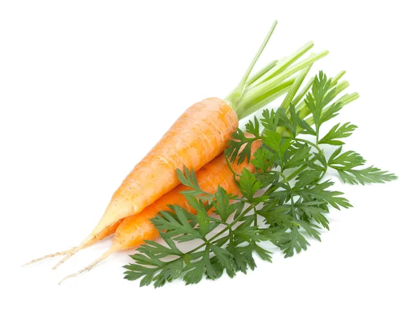 Fresh ripe carrots — Stock Photo, Image