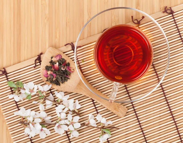 Green tea and sakura branch — Stock Photo, Image