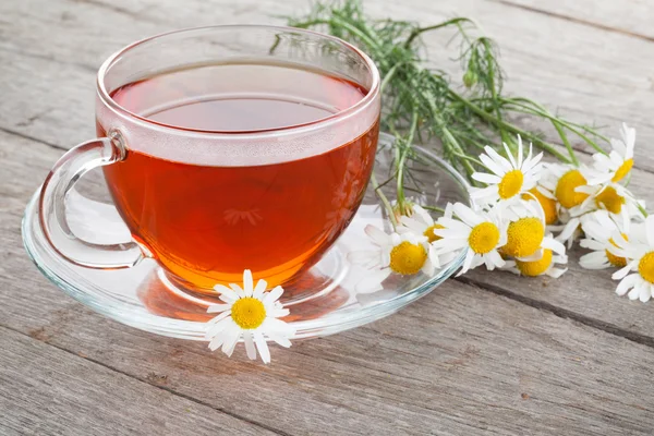 Čaj s heřmánkovými květy — Stock fotografie