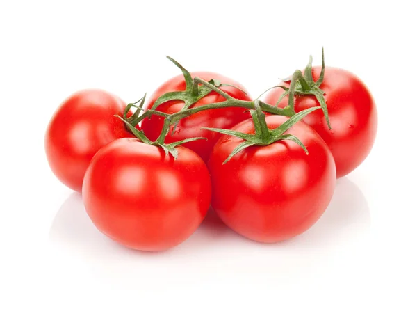 Pomodori maturi — Foto Stock