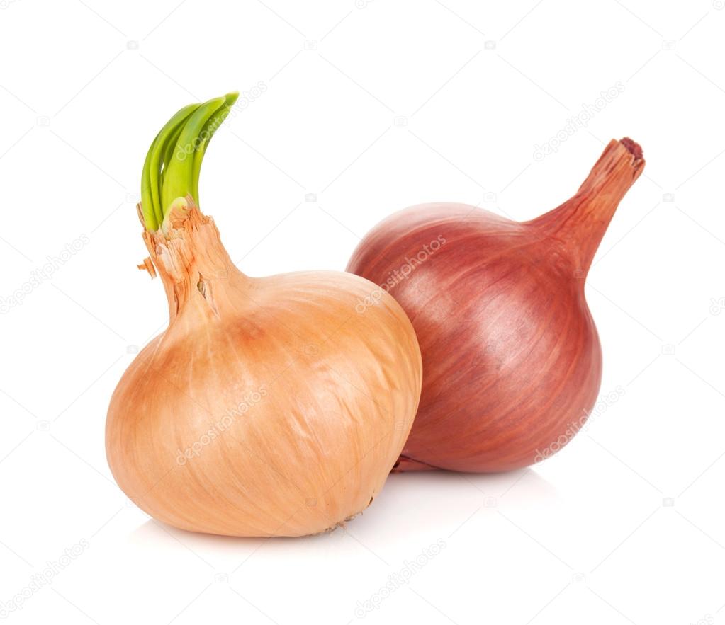 Fresh ripe onions