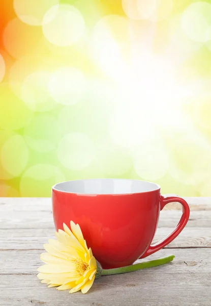 Coffee and gerbera — Stock Photo, Image