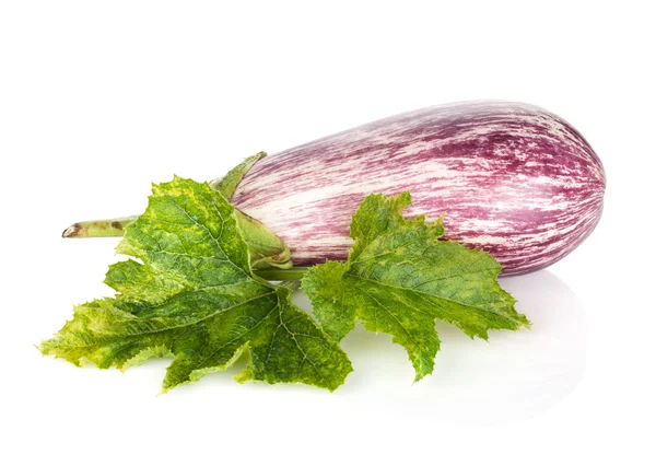 Ripe eggplant — Stock Photo, Image