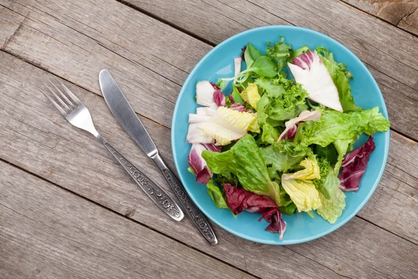 Frisk sallad — Stockfoto