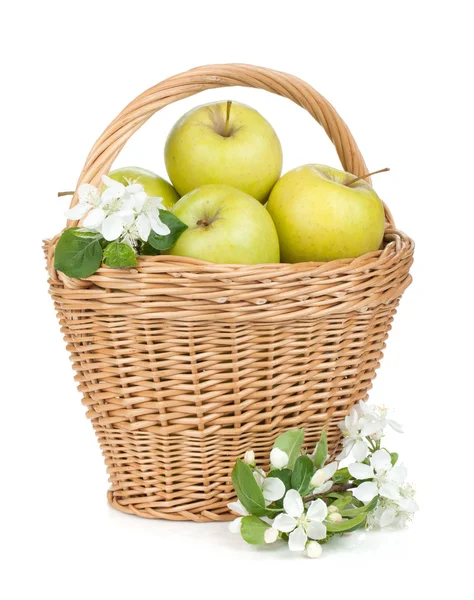 Frische reife grüne Äpfel — Stockfoto