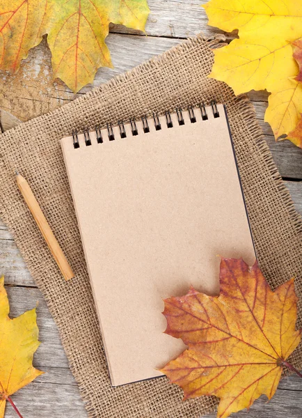 Notepad and autumn maple leaves — Stock Photo, Image