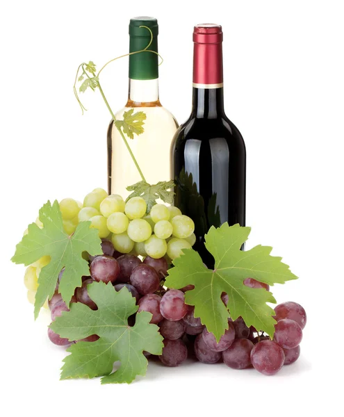 Dos botellas de vino y uvas — Foto de Stock