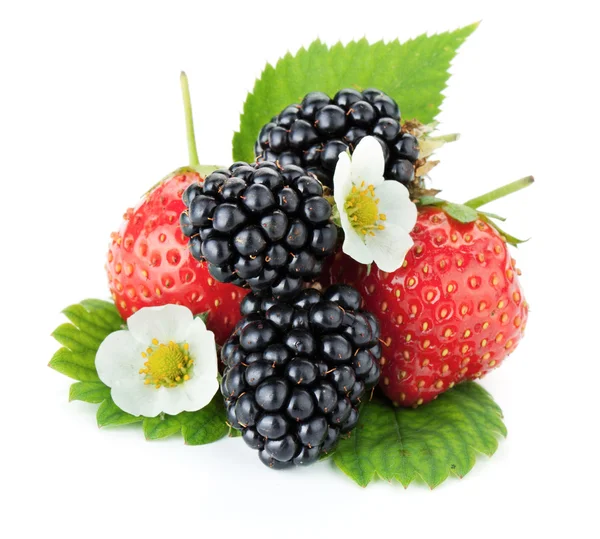 Strawberries and blackberries — Stock Photo, Image