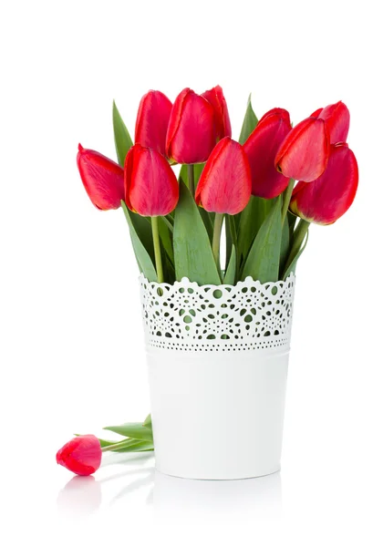 Тюльпаны в цветочном горшке — стоковое фото