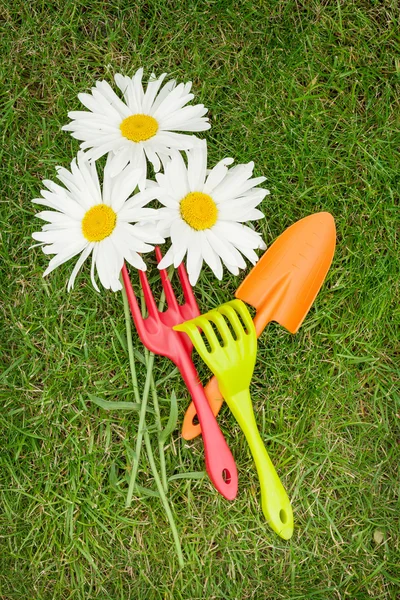 Blumen und Gartengeräte — Stockfoto