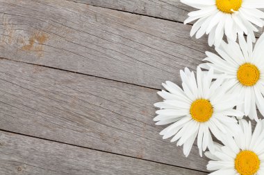 Daisy camomile flowers on wooden background clipart