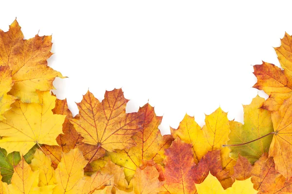 Barevné podzimní Javorové listy rám — Stock fotografie