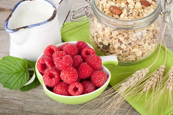 Petit déjeuner copieux avec muesli, baies et lait — Photo