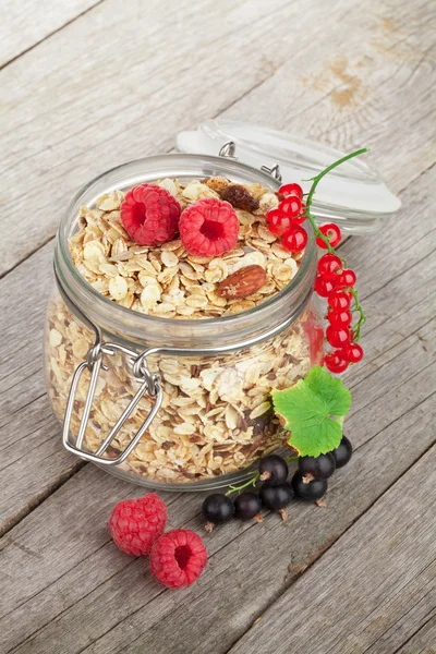 Healty breakfast with muesli and berries — Stock Photo, Image