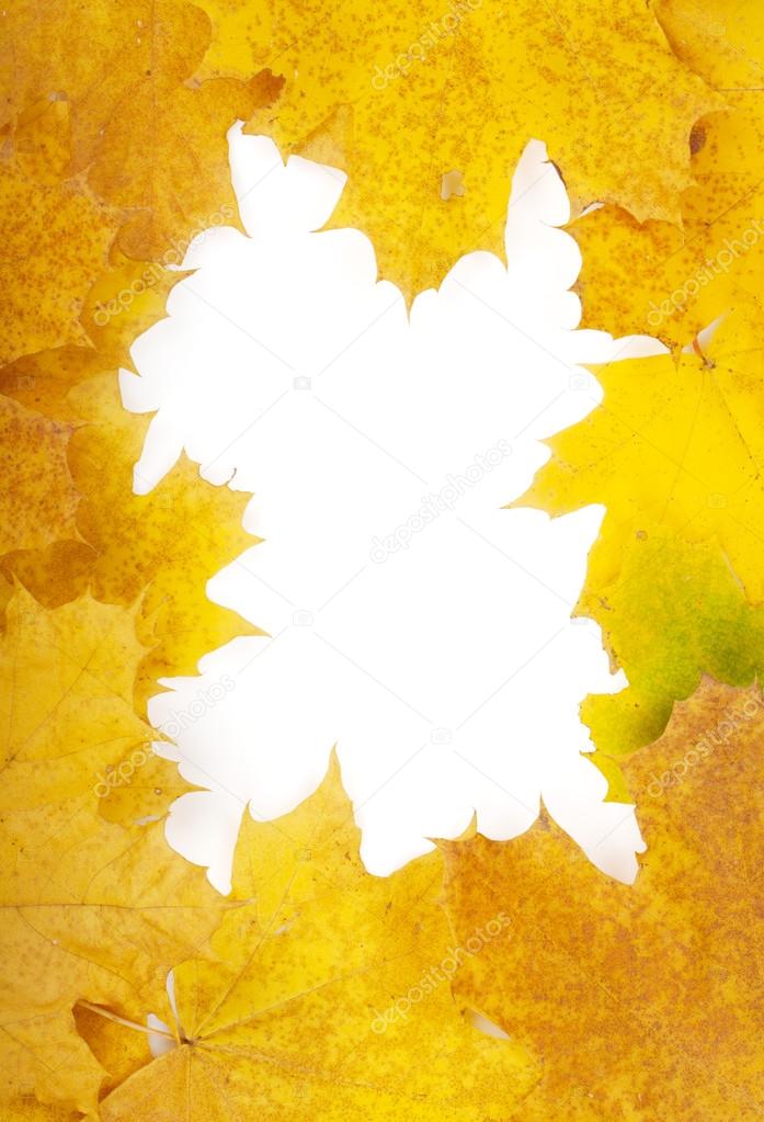 Autumn leaves frame