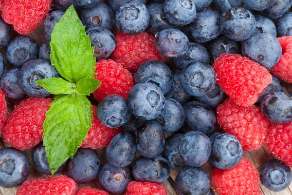 Blaubeeren und Himbeeren — Stockfoto