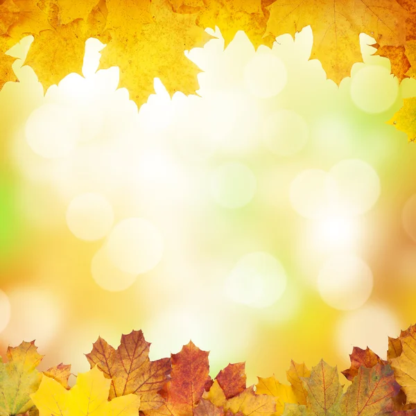 紅葉の秋の背景 — ストック写真
