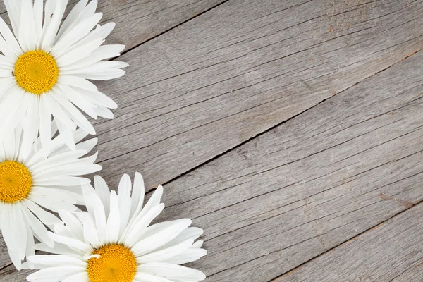 Kamille madeliefjebloemen met kopie ruimte — Stockfoto