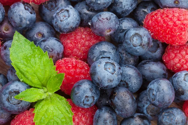 Blaubeeren und Himbeeren — Stockfoto