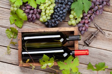 Ahşap masada çeşitli renkli üzümler ve şarap şişeleri. Üst görünüm düzlüğü