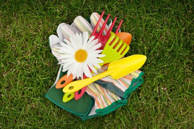 Bahçe aletleri ve papatya