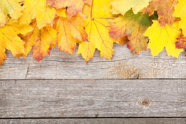 Hojas de arce de otoño —  Fotos de Stock