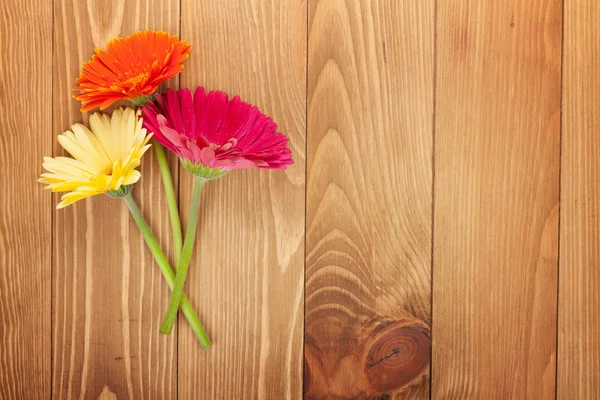 Flores de gerbera coloridas — Fotografia de Stock