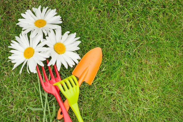 Garden tools and chamomile — Stock Photo, Image