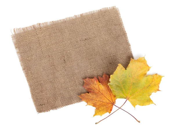 Burlap and maple leaves — Stock Photo, Image