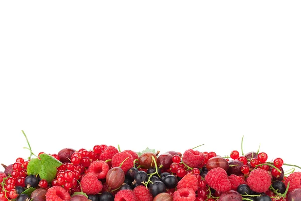 Ferske, modne bær – stockfoto