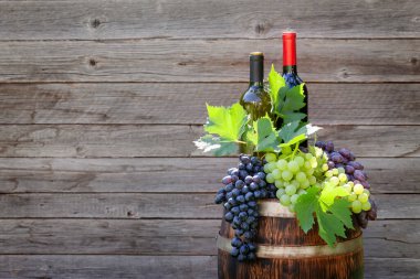 Çeşitli renklerde üzümler ve şarap şişeleri açık hava güneşli bahçesinde tahta duvarın önünde fotokopi alanı olan şarap fıçıları.