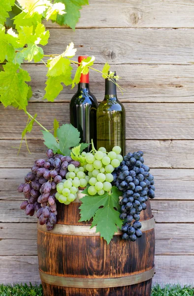 Various Colorful Grapes Wine Bottles Wine Barrel Outdoor Sunny Garden — Stock Photo, Image