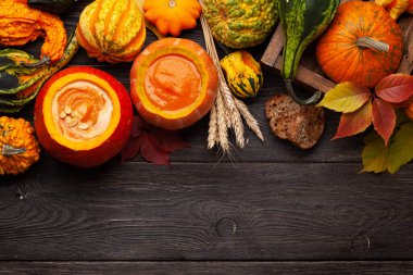 Balkabağı kremalı çorba ve çeşitli renkli kabaklar ve balkabakları. Sonbahar sebze hasadı. Üst görünüm düzlüğü kopyalama alanı ile yatıyordu