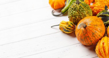 Çeşitli renkte kabaklar ve balkabakları. Sonbahar sebze hasadı. Kopyalama alanı ile