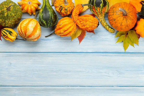 Diverse Kleurrijke Pompoenen Pompoenen Herfst Groente Oogst Bovenaanzicht Vlak Met — Stockfoto