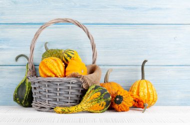 Çeşitli renkte kabaklar ve balkabakları. Sonbahar sebze hasadı. Kopyalama alanı ile