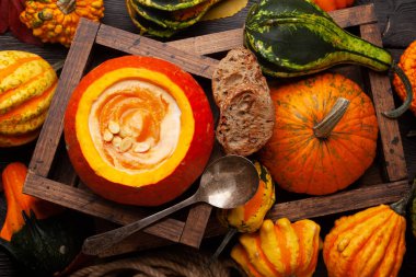 Balkabağı kremalı çorba ve çeşitli renkli kabaklar ve balkabakları. Sonbahar sebze hasadı. Üst görünüm düzlüğü