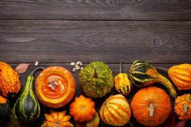 Balkabağı kremalı çorba ve çeşitli renkli kabaklar ve balkabakları. Sonbahar sebze hasadı. Üst görünüm düzlüğü kopyalama alanı ile yatıyordu