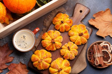 Ev yapımı balkabağı kek ve çeşitli balkabakları gibi görünür. Üst görünüm düzlüğü