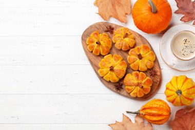 Ev yapımı balkabağı kek ve çeşitli balkabakları gibi görünür. Üst görünüm düzlüğü kopyalama alanı ile yatıyordu