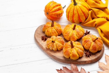 Ev yapımı balkabağı kek ve çeşitli balkabakları gibi görünür. Kopyalama alanı ile