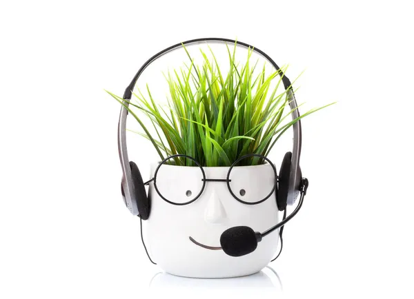 Potted Plant Headset Pot Glasses Isolated White Background — Stock Photo, Image