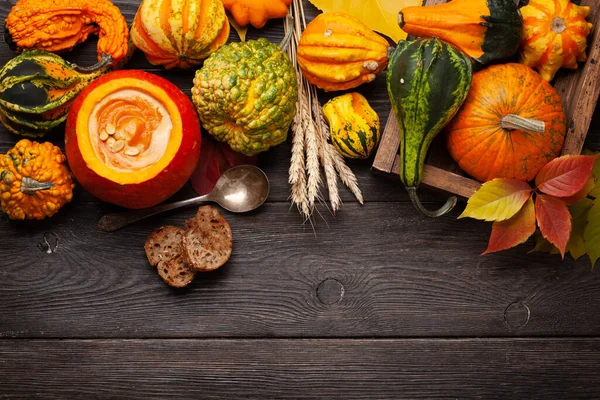 Kürbiscremesuppe Und Verschiedene Bunte Kürbisse Und Kürbisse Gemüseernte Herbst Draufsicht — Stockfoto