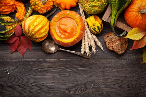 Kürbiscremesuppe Und Verschiedene Bunte Kürbisse Und Kürbisse Gemüseernte Herbst Draufsicht — Stockfoto