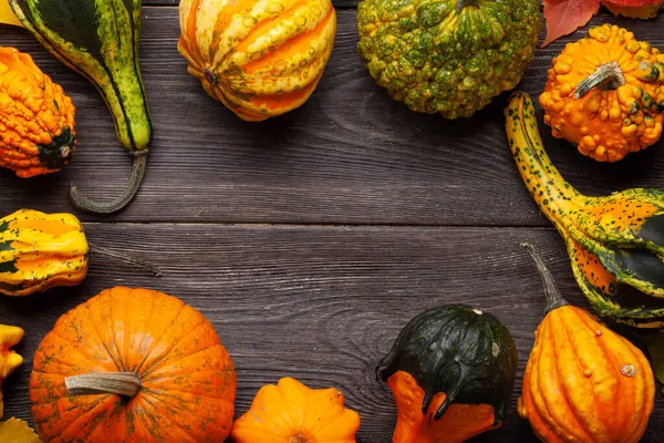 Verschiedene Bunte Kürbisse Und Kürbisse Gemüseernte Herbst Draufsicht Flach Lag — Stockfoto