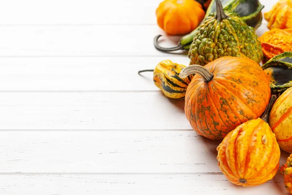 Varias Calabazas Calabazas Colores Cosecha Verduras Otoño Con Espacio Copia —  Fotos de Stock